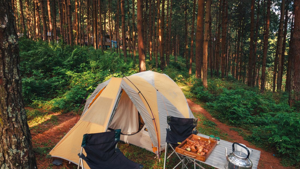 Barracas montadas em clareira na floresta formando um acampamento base