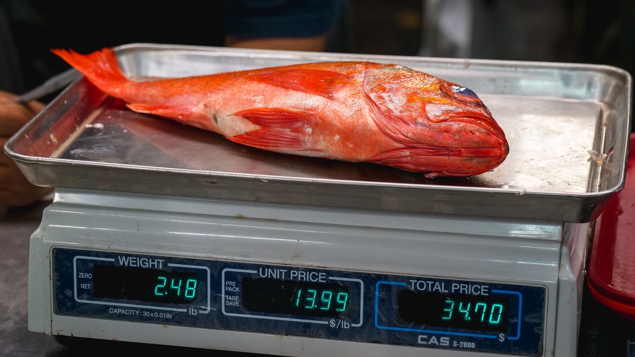 Peixe fresco sendo pesado em uma balança de mercado