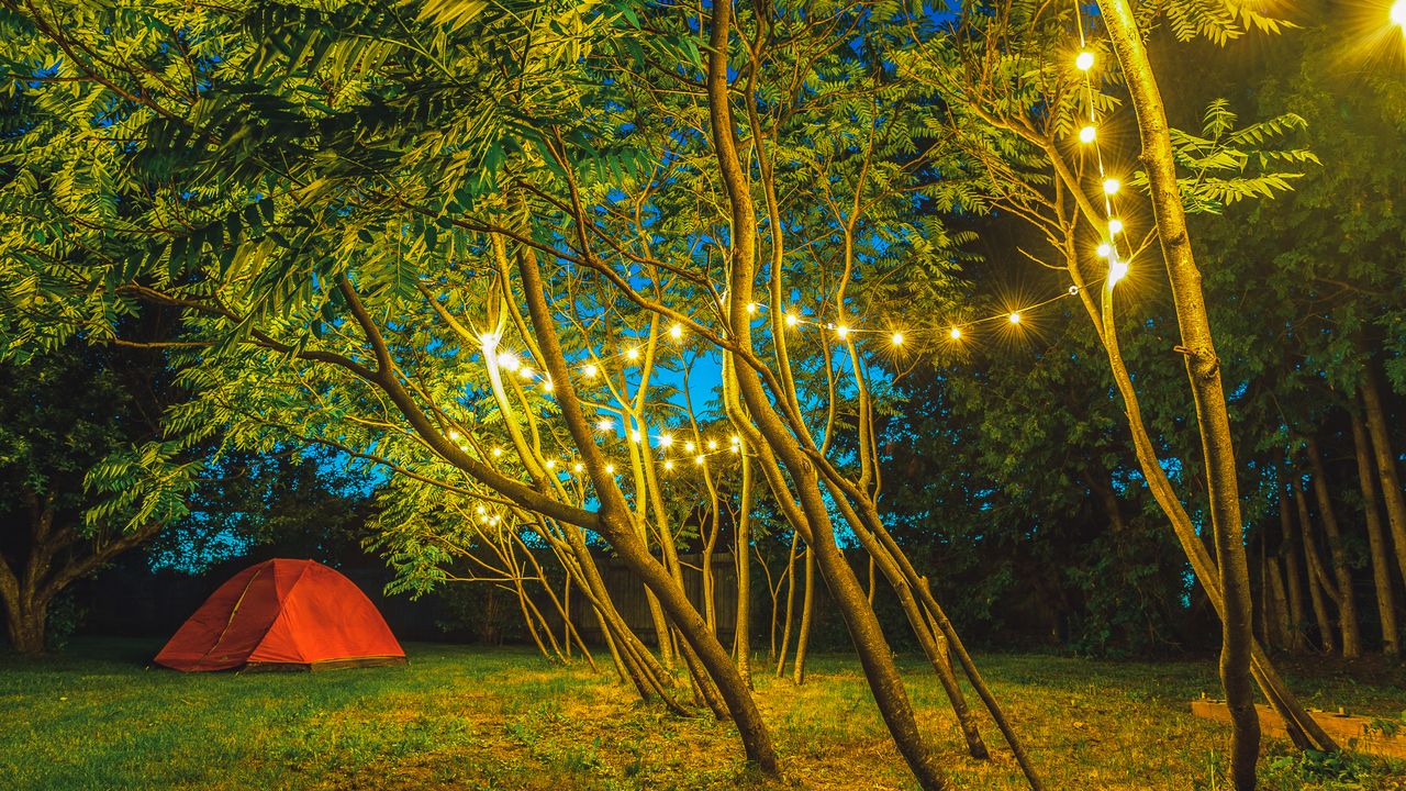 Barraca de camping iluminada por luzes ao anoitecer em meio às árvores