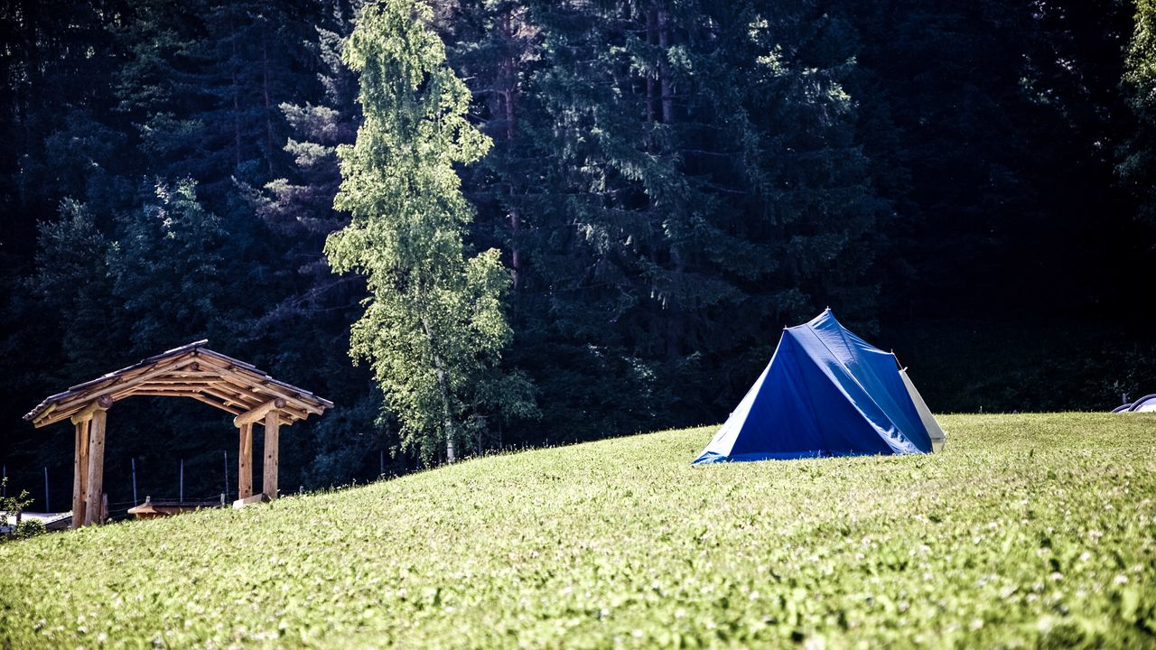 Barraca de camping montada em gramado verde no verão