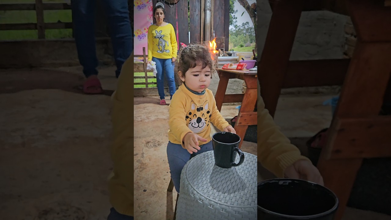 Como funciona um fogão a lenha na prática