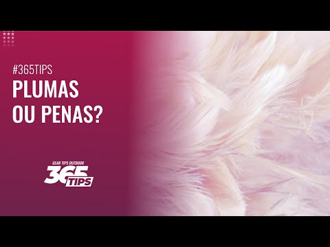 Pluma ou sintético no clima úmido